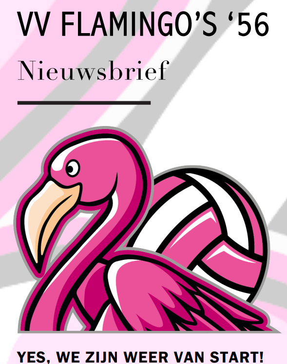 Nieuwsbrief Nr. 2 2024/2025 - Oktober 2024